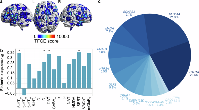Fig. 2: Relationship of altered brain activity in panic disorder with chemoarchitecture and gene expression.