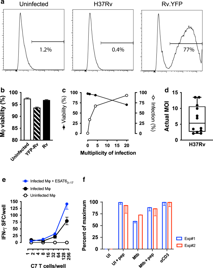 Limited Recognition Of Mycobacterium Tuberculosis Infected Macrophages By Polyclonal Cd4 And Cd8 T Cells From The Lungs Of Infected Mice Mucosal Immunology