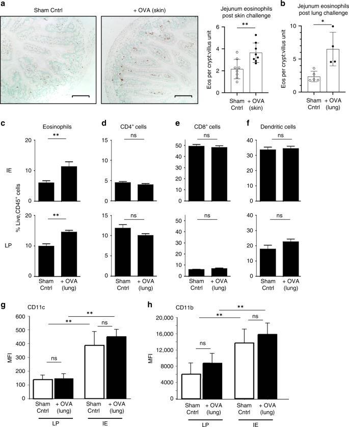 Remote Allergen Exposure Elicits Eosinophil Infiltration Into Allergen Nonexposed Mucosal Ans And Primes For Allergic Inflammation Mucosal Immunology