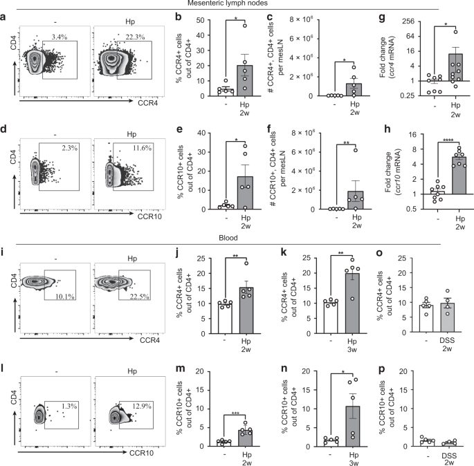 Fig. 3: Skin-homing receptors are up-regulated on mesLN and circulating CD4+ T cells after H. polygyrus infection.