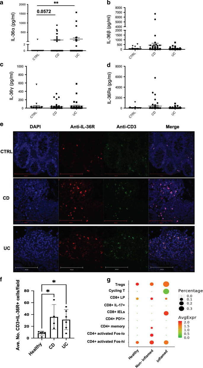 Fig. 1: IL-36 family member expression is elevated in paediatric IBD samples.