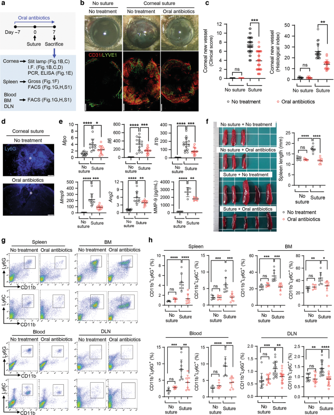 Ocular Immunology and Inflammation: Vol 31, No 6