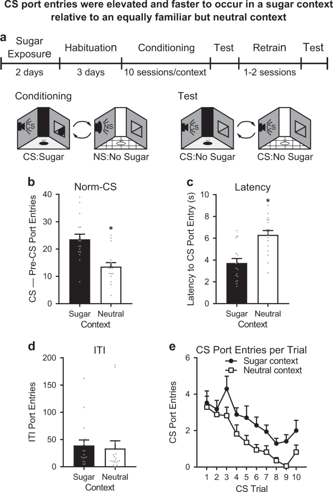 Context And Topography Determine The Role Of Basolateral Amygdala Metabotropic Glutamate Receptor 5 In Appetitive Pavlovian Responding Neuropsychopharmacology