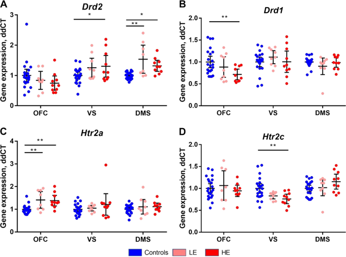 Withdrawal From Escalated Cocaine Self Administration Impairs Reversal Learning By Disrupting The Effects Of Negative Feedback On Reward Exploitation A Behavioral And Computational Analysis Neuropsychopharmacology