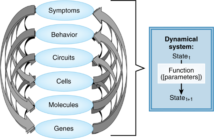 Advances in the computational understanding of mental illness |  Neuropsychopharmacology