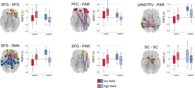 prenatal development research paper figure 3