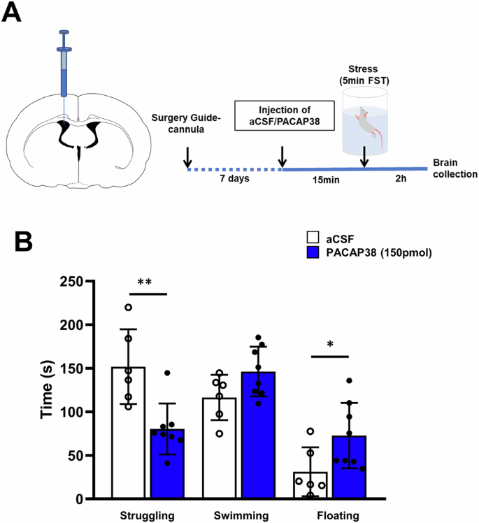 Fig. 1: Effects of ICV PACAP38 administration on the behavioral stress response of rats exposed to the modified forced swim test.