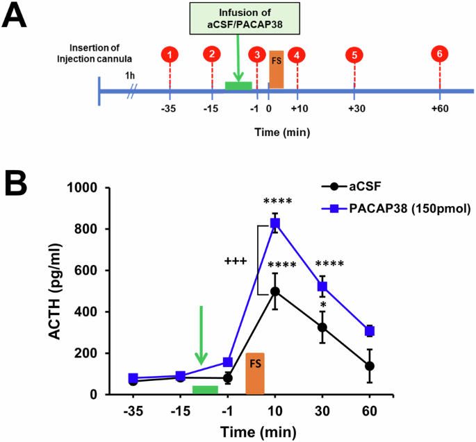 Fig. 4: Effects of PACAP38 administration into the PVN on basal and swim stress-induced ACTH levels.