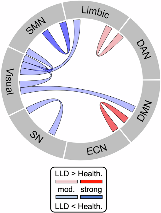Network homeostasis: functional brain network alterations and relapse ...