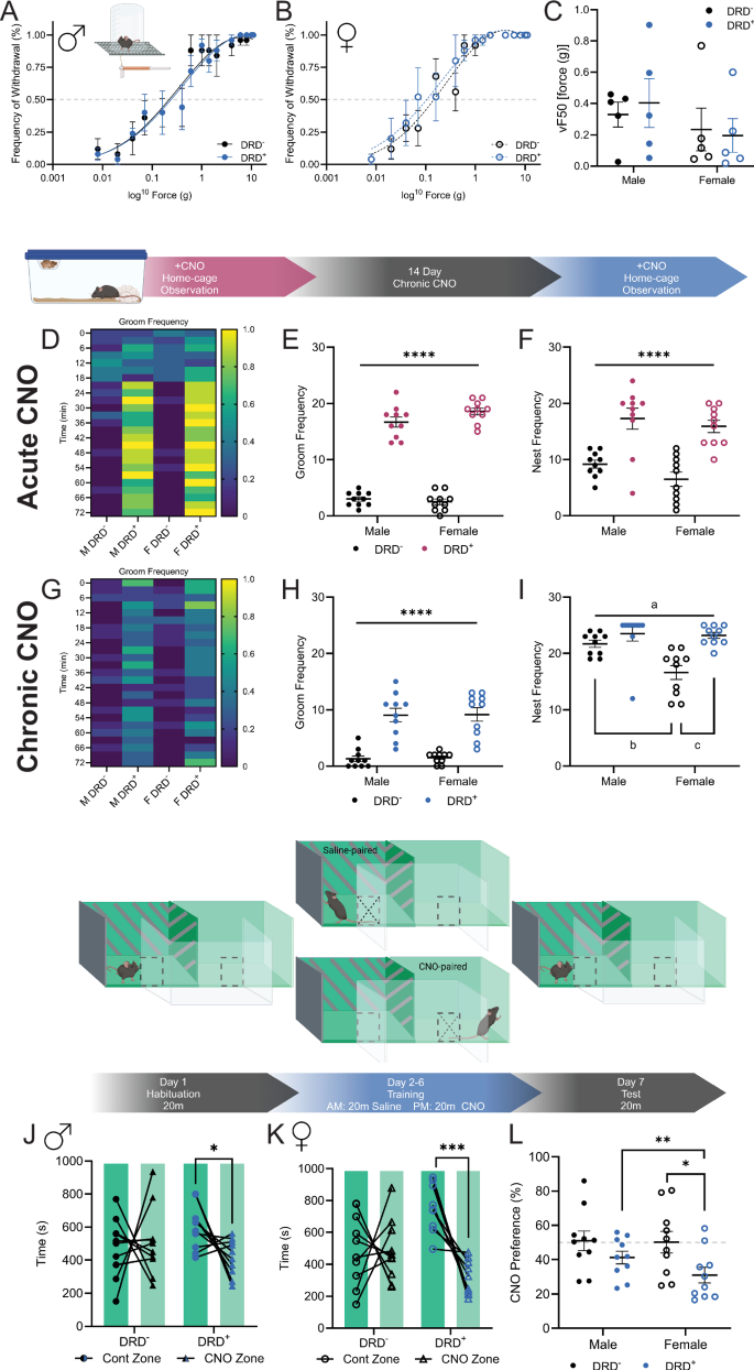 Fig. 2: Tactile sensitivity, home-cage behavior, and valence following MC stimulation.