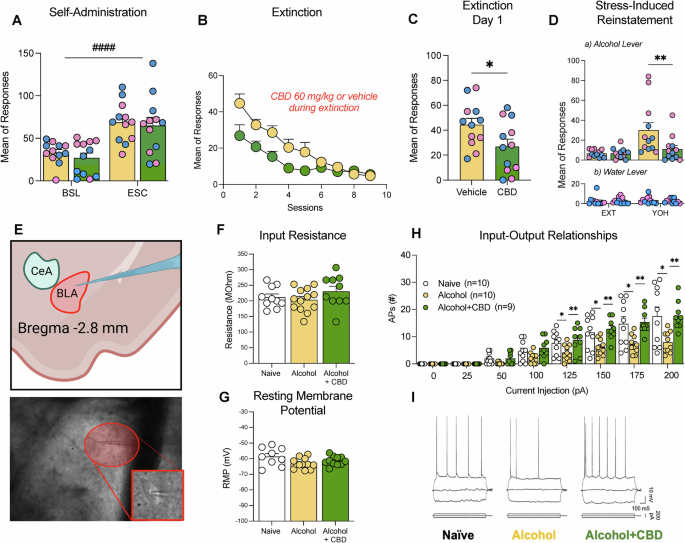 Fig. 3: CBD effects on stress-induced reinstatement and on BLA neuronal excitability.