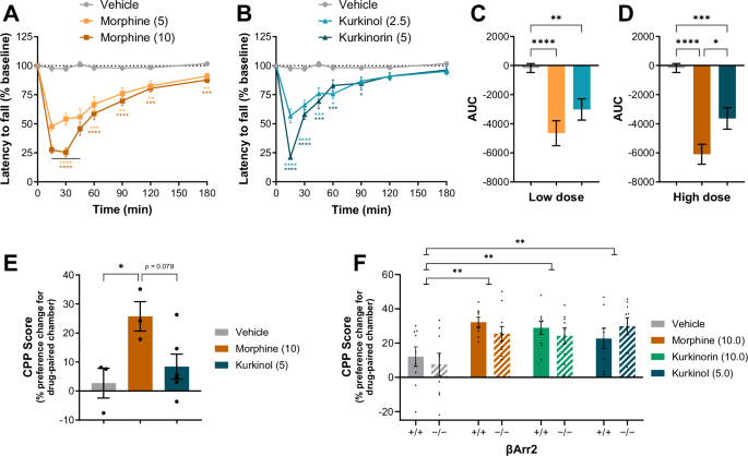 Fig. 5: Kurkinol has similar motor impairing effects to morphine but with a shorter duration of action while the conditioned rewarding effects of morphine, kurkinorin, and kurkinol are not impacted by knockout of βArr2 in mice.
