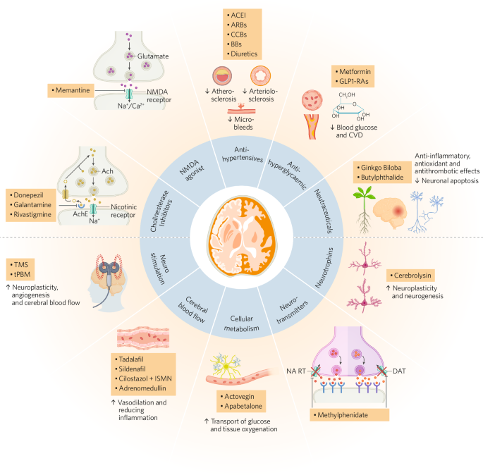 Fig. 3: Outline of the classes and putative mechanisms of VCID treatments with current evidence and those currently in development.