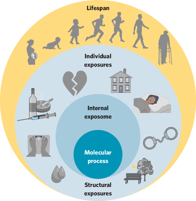 Fig. 1: The exposome and its contributions to health across the lifespan.