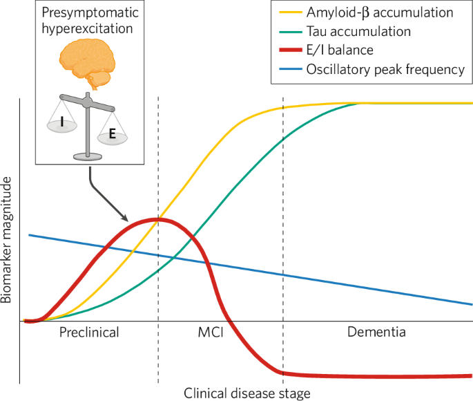 Fig. 3: Speculated time course of E/I balance and oscillatory peak frequency.