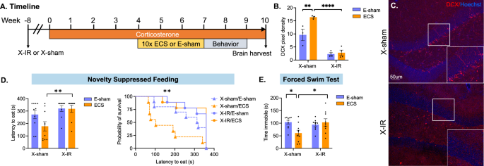 Fig. 2: iGCs are required for the behavioral effects of ECS.