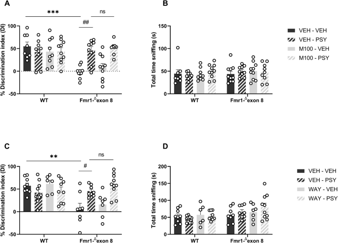 Fig. 1: 5HT2AR and 5HT1AR antagonism does not block the beneficial effects of psilocybin on novel object discrimination in Fmr1-Δexon 8 rats.