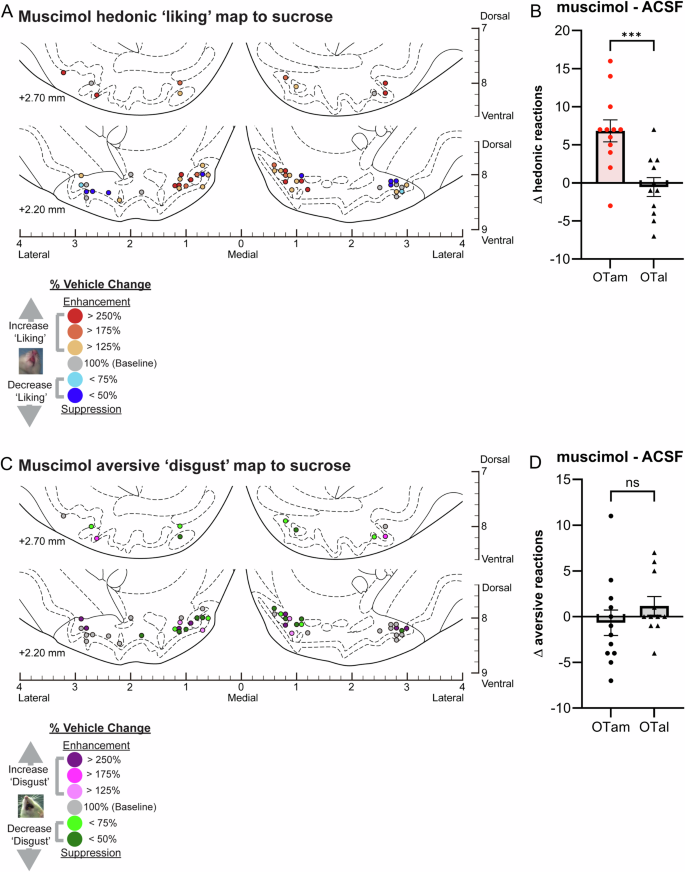 Fig. 4: Causation OT maps of “liking” enhancement by muscimol.