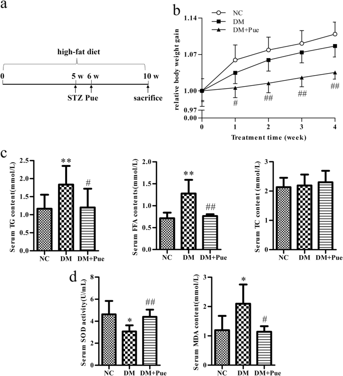 Effect Of Puerarin In Promoting Fatty Acid Oxidation By Increasing Mitochondrial Oxidative Capacity And Biogenesis In Skeletal Muscle In Diabetic Rats Nutrition Diabetes