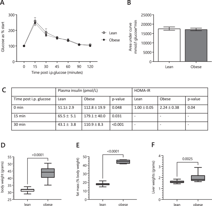 Fig. 2: Glucose tolerance test and gross body composition of the mouse model at the time of tissue collection.