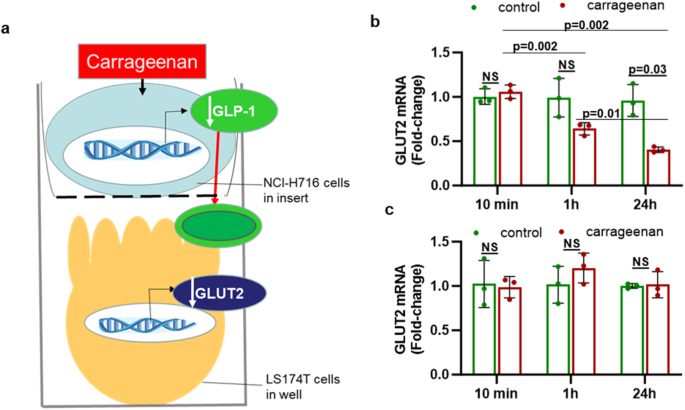 Common food additive carrageenan inhibits proglucagon expression and GLP-1 secretion by human enteroendocrine L-cells
