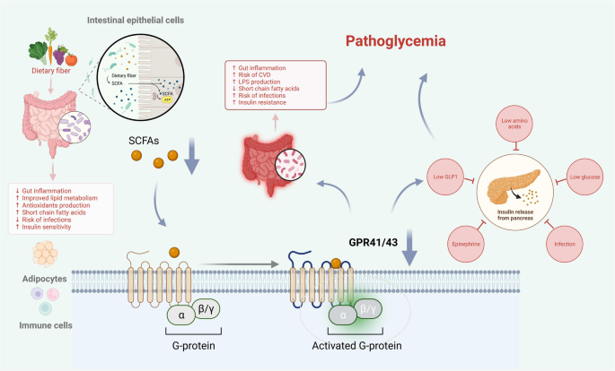 research proposal on gestational diabetes figure 2
