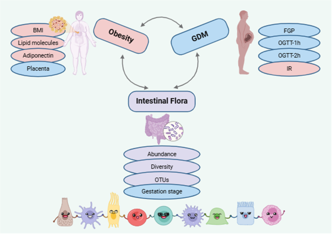 research proposal on gestational diabetes figure 3
