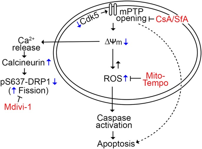 figure 9