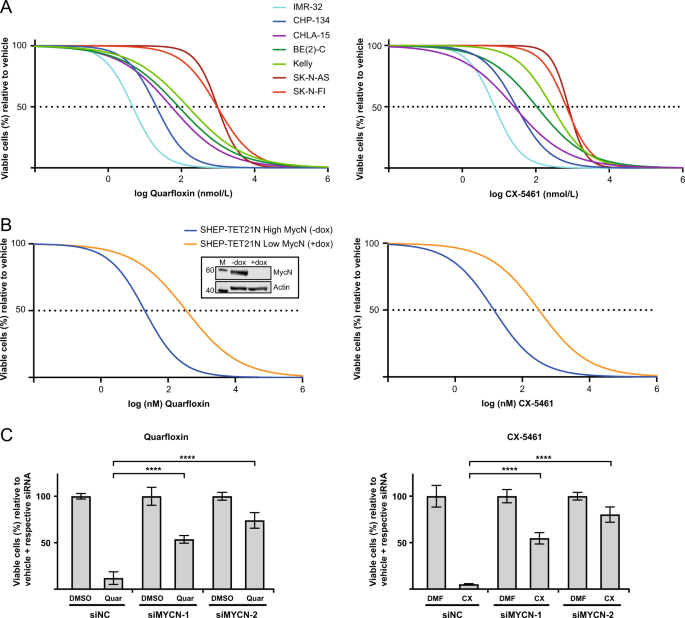 Inhibitors Of Ribosome Biogenesis Repress The Growth Of Mycn Amplified Neuroblastoma Oncogene