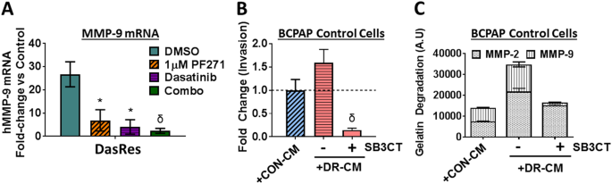 Resistance To Src Inhibition Alters The Braf Mutant Tumor Secretome To Promote An Invasive Phenotype And Therapeutic Escape Through A Fak P130cas C Jun Signaling Axis Oncogene