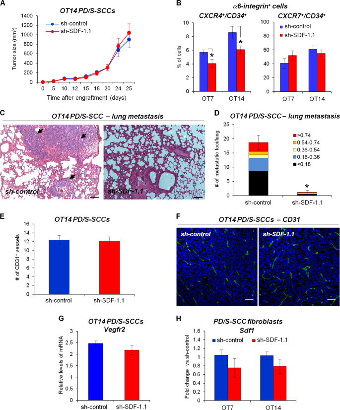 Pdgfr Induced Autocrine Sdf 1 Signaling In Cancer Cells Promotes Metastasis In Advanced Skin Carcinoma Oncogene