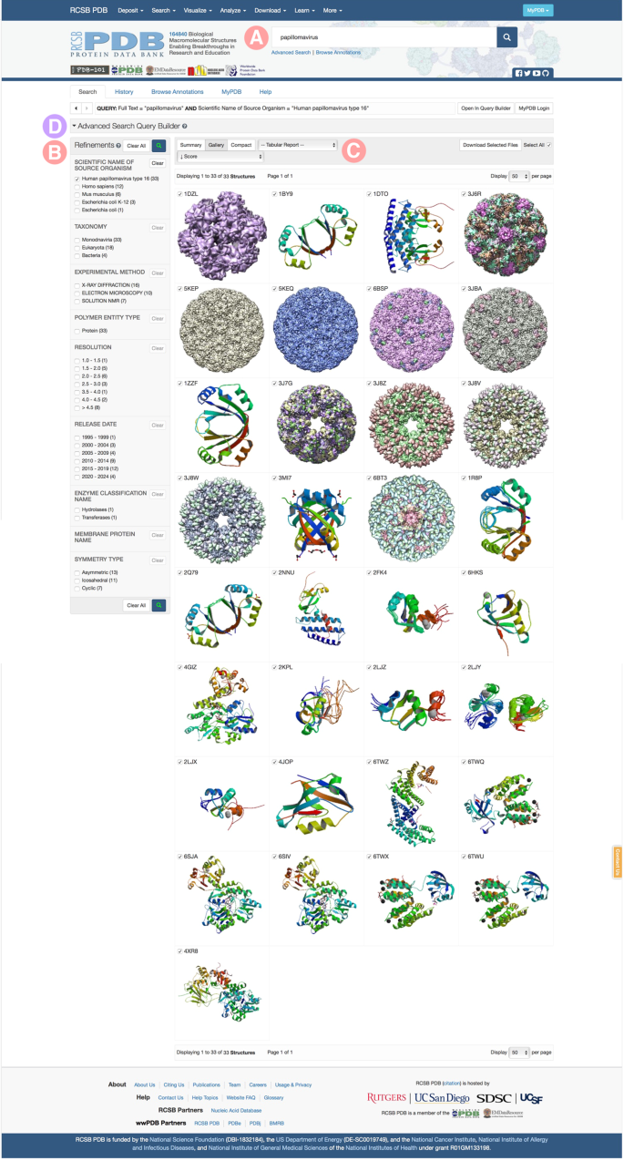 RCSB Protein Data Bank tools for 3D structure-guided cancer research: human  papillomavirus (HPV) case study | Oncogene