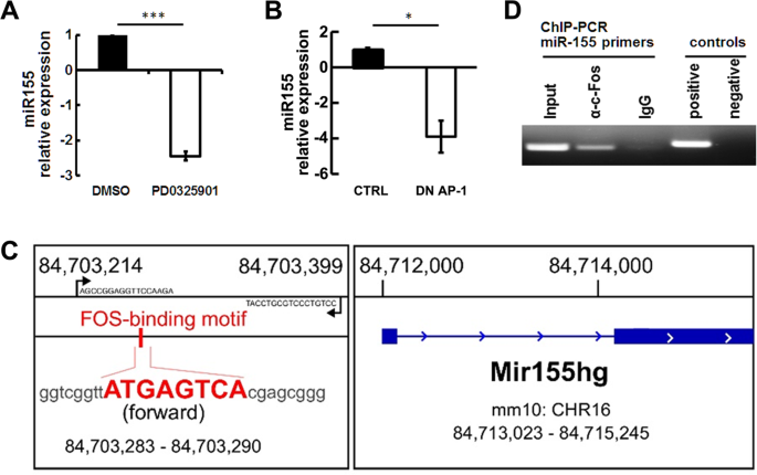 Microrna 155 Contributes To Plexiform Neurofibroma Growth Downstream Of Mek Oncogene