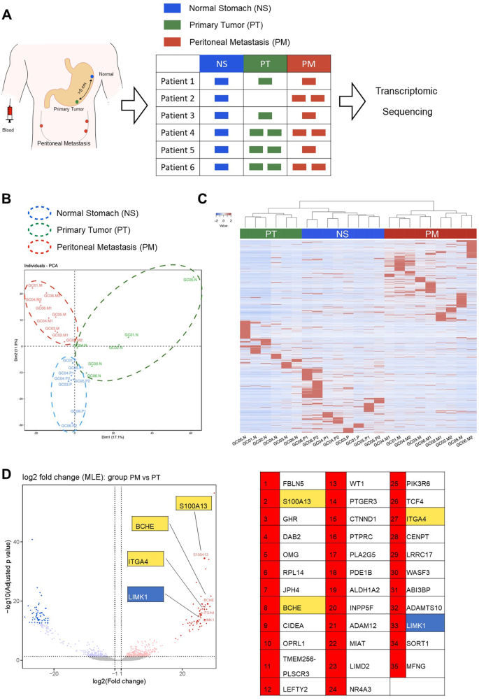 Peritoneal cancer risk - Filum platyhelminthes dan aschelminthes