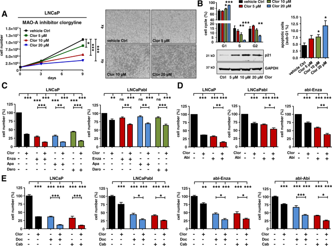 Fig. 6: Consequences of MAO-A inhibition for PCa cell growth and viability.