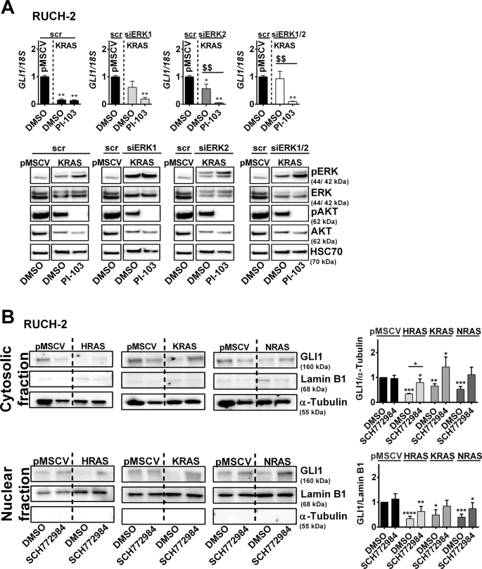 Context-dependent modulation of aggressiveness of pediatric tumors by  individual oncogenic RAS isoforms | Oncogene