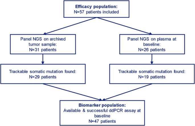 Fig. 1: Workflow of the study.
