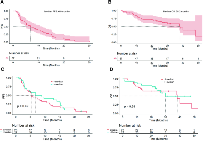 Fig. 2: Progression-free survival and overall survival in patients treated with everolimus and fulvestrant.
