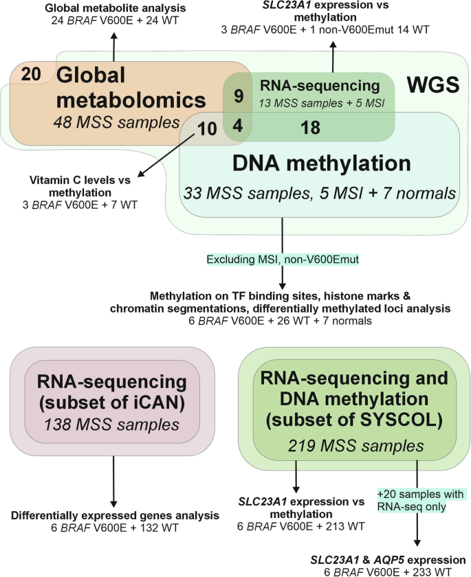 Fig. 1: Data types, data overlaps and analyses presented in the study.