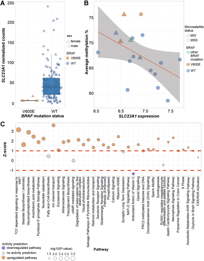 Fig. 3: Gene expression analysis results.