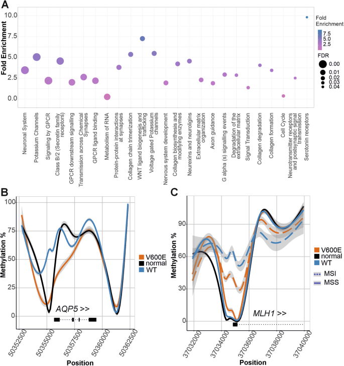 Fig. 6: Methylation changes at gene promoters.
