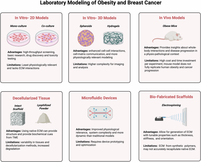 Fig. 2: Overview of lab models of obesity and breast cancer.