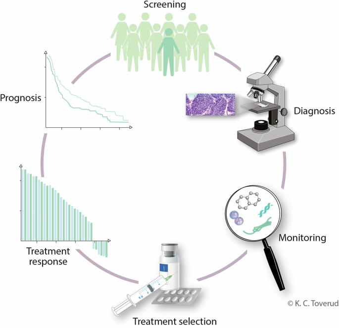 Fig. 1: Applications of liquid biopsy tests in cancer management.