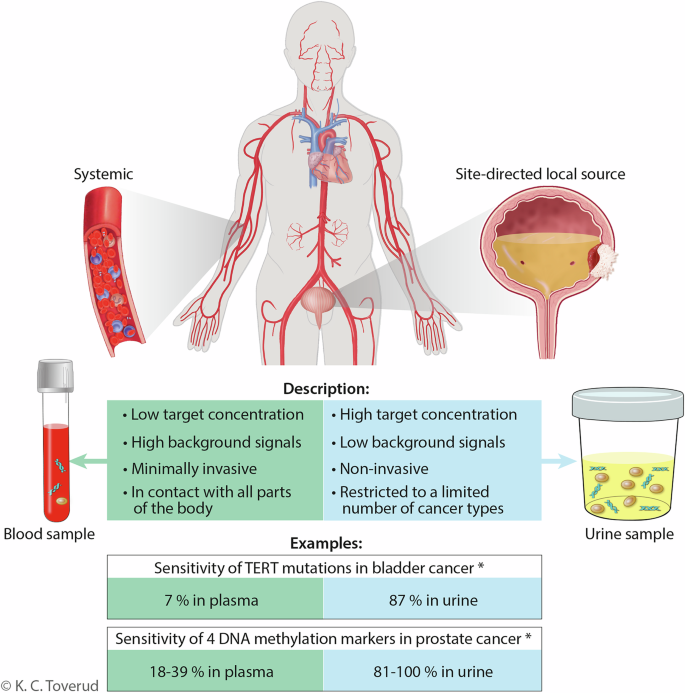 Fig. 3: Choosing the optimal liquid biopsy source - systemic vs local.