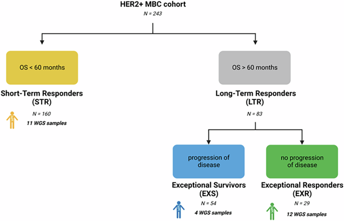 Fig. 1: Schematic overview of the patient cohort selection and tumor sub-set strategy for whole genome sequencing.