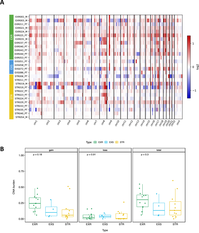 Fig. 3: WGS genome-wide copy number alteration (CNA) landscape.