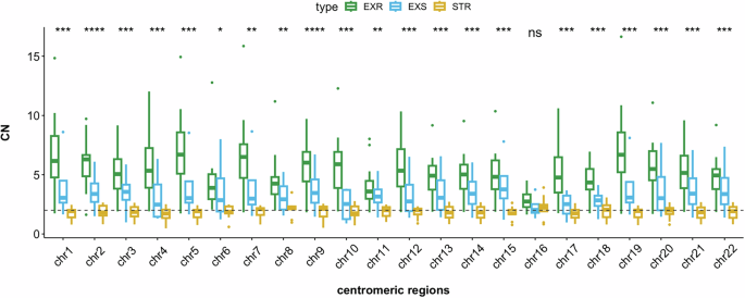 Fig. 4: Copy number alteration (CNA) status of the centromeric region of each chromosome.