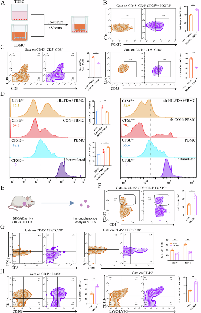 Fig. 2: HILPDA attenuates antitumor immunity in breast cancer by shaping the immunosuppressive tumor microenvironment.