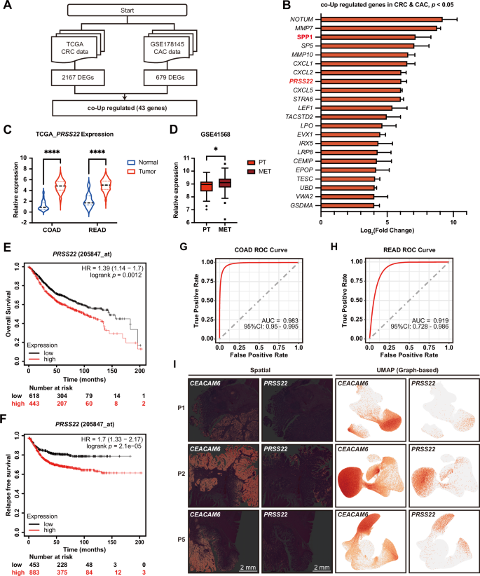 Fig. 1: PRSS22 is highly expressed in CRC and associated with poor prognosis.