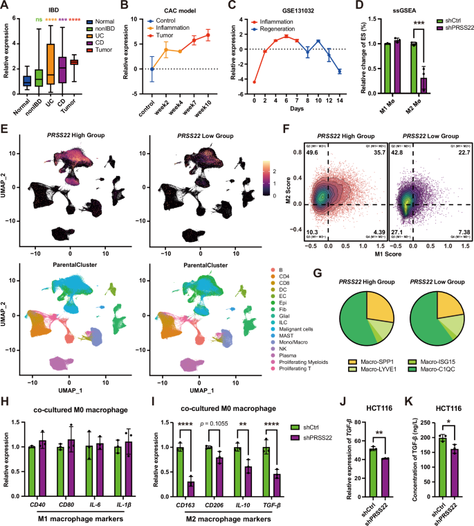 Fig. 5: PRSS22 is a key driver of ICT through the modulation of macrophage polarization.